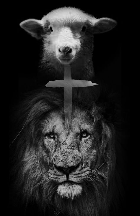 Lion And Lamb Aesthetic, Lion And The Lamb Wallpaper, Lion And Lamb Wallpaper, Word Pictures Art, Cruz Wallpaper, Prayer Cloth, Jesus Ideas, Church Background, Lion And The Lamb