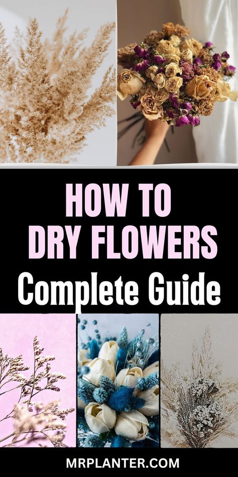 Discover the art of drying flowers and create stunning, long-lasting decor pieces. Click the image to know more. Follow us for more tips. #DriedFlowerDecor #DIYHomeDecor #FlowerCrafting How To Properly Dry Flowers, How To Dry Out Flowers, Dried Flowers Ideas Decor, Herbal Notebook, Leaf Preservation, Herbal Crafts, How To Dry Flowers, Preserving Flowers, Preserve Flowers