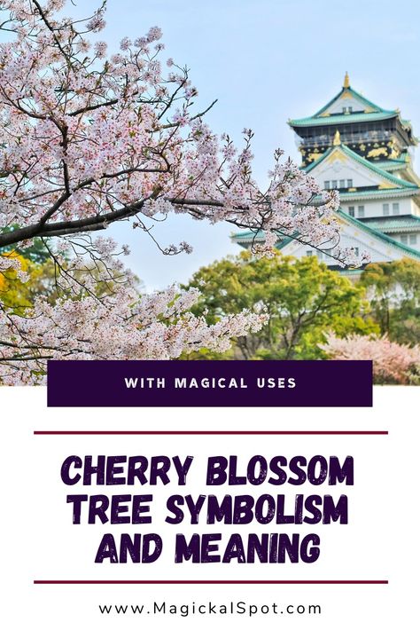 Cherry Blossom Symbolism, Cherry Blossom Meaning, Tree Symbolism, Cherry Blossom Bedroom, Yoshino Cherry Tree, Cherry Blossom Tree Tattoo, Blossom Tree Tattoo, Japanese Cherry Blossoms, Cherry Blooms