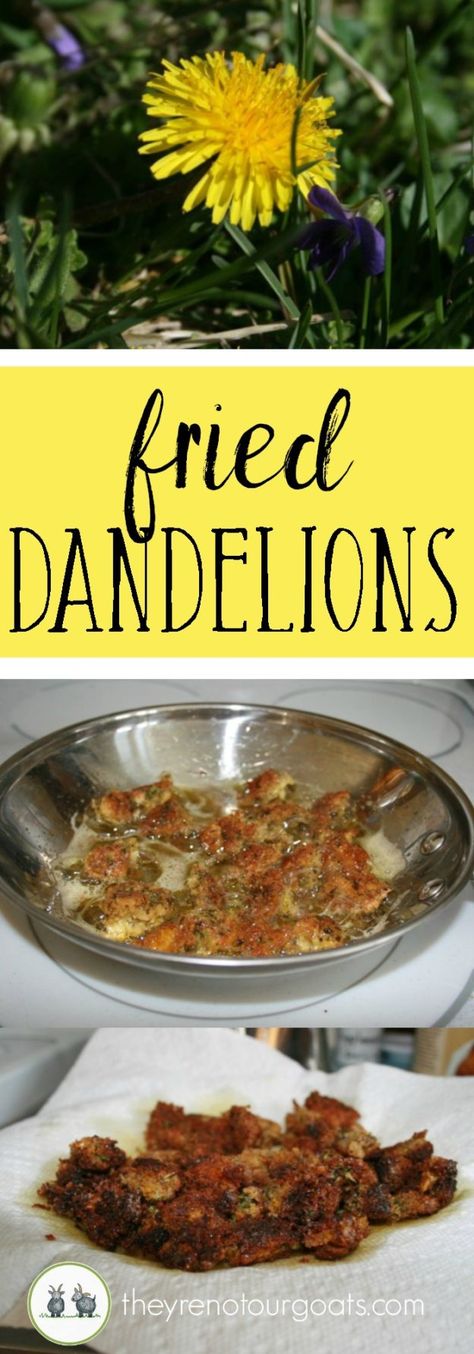 Fried Dandelions, Wild Food Foraging, Foraging Recipes, Foraged Food, Green Recipes, Herbal Recipes, Dandelion Recipes, Flower Food, Survival Food