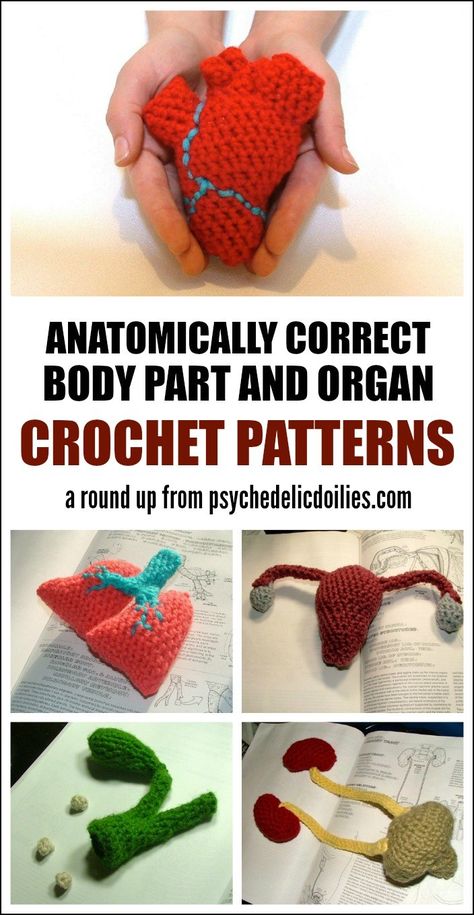 Organ Crochet, Crochet Anatomy, Amigurumi Design, Stitches Design, Crochet Bodies, Amigurumi Ideas, Crochet Gift, Granny Squares Pattern, Crochet Design