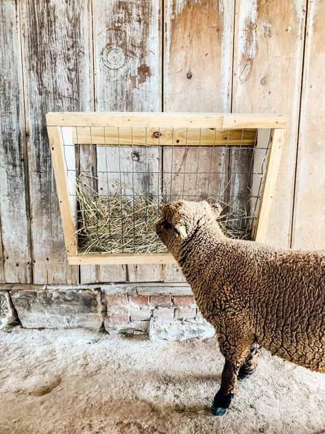 How to Build a Wall Mount Hay Feeder - Midcounty Journal Diy Goat Hay Feeder, Diy Hay Feeder, Sheep Feeders, Hay Farm, Goat Hay Feeder, Babydoll Sheep, Goat Feeder, Goat Playground, Sheep Pen