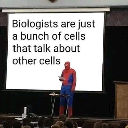 @science_memester on Instagram: “Sorry I havent been posting, too busy with school 😓 - - - #biology #science #sciencememes #DNA #funny #memes #apbiology #sciencememes…” Biology Memes, Dont You Know, Daily Memes, Edgy Memes, You Funny, Best Memes, Bones Funny, Popular Memes, Funny Posts