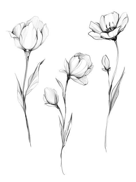 I Will Tattoo, Will Tattoo, Flower Tattoo Drawings, Poppies Tattoo, Flower Line Drawings, Flower Art Drawing, Botanical Tattoo, Floral Tattoo Design, Flower Sketches