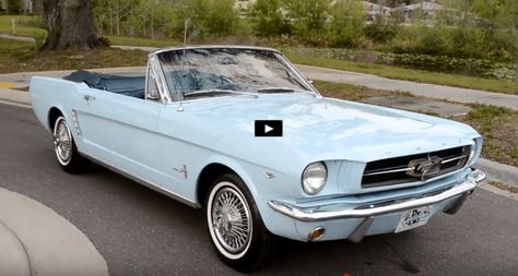 It's not a Boss or a Mach 1, but this Skylight Blue 1964 1/2 Ford Mustang Convertible is a pristine example of American automotive history. Check it out! 64 Mustang, White Mustang, Mustang 1964, Blue Mustang, Ford Mustang 1964, 1965 Ford Mustang, Mustang For Sale, Ford Mustang For Sale, Ford Mustang Convertible