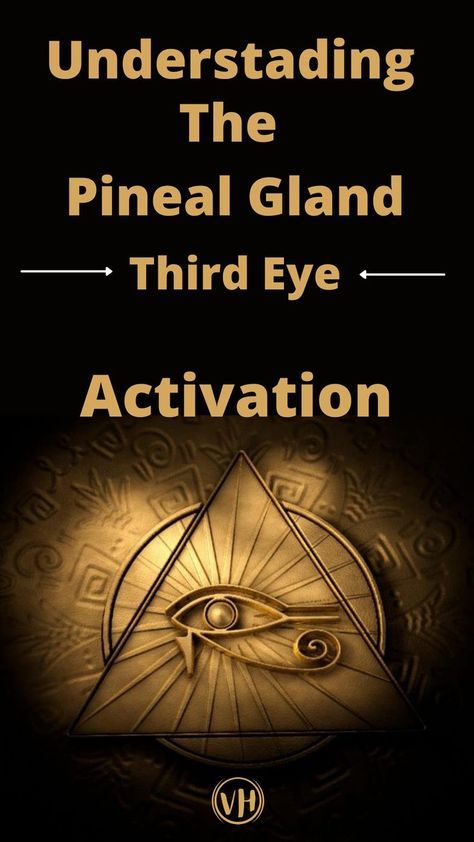 The third eye is also known as the pineal gland is the gateway to a deeper spiritual connection and heightened intuition, the word pineal comes from the Latin word Pena which means pinecone. Pineal Gland Facts, Decalcify Pineal Gland, Pineal Gland Activation, Eyesight Improvement, Third Eye Art, Third Eye Awakening, Spiritual Eyes, Third Eye Opening, Opening Your Third Eye