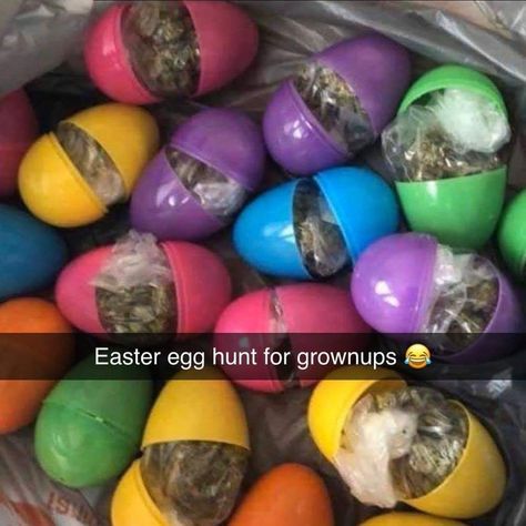 Wax Pot, Graduation Party Planning, How To Order Starbucks, Happy Easter Everyone, Bright Art, Facts For Kids, Instagram Funny, Some Funny Jokes, Easter Egg Hunt