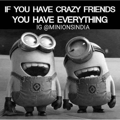 If You Have Crazy Friends, You Have Everything quotes quote friends friendship quotes minion minions minion quotes funny minion quotes minion quotes and sayings best minion quotes Pandas, Minion Humour, True Friends Quotes, Motivation Positive, Best Friendship Quotes, Friendship Humor, Minion Quotes, Funny Minion Quotes, Minions Quotes