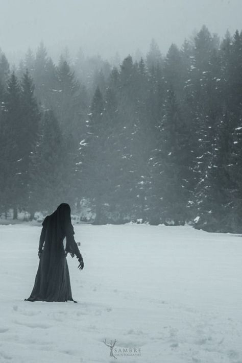 Black Shapes, Snowy Forest, 다크 판타지, Witch Aesthetic, Fantasy Aesthetic, Kylo Ren, High Fantasy, The Witcher, Big Bang