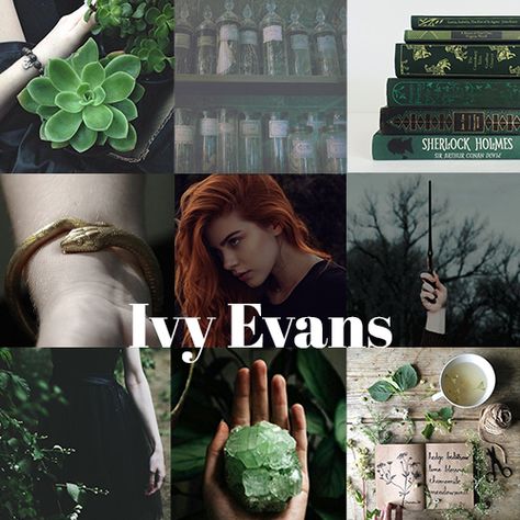 Ivy Evans, Slytherin, 6th Year, Harry Potter's twin sister, little to… #mysterythriller #Mystery / Thriller #amreading #books #wattpad Harry Potter Twins, When Love Hurts, Robin And Regina, Lily Potter, Harry Potter Draco Malfoy, Slytherin Aesthetic, And Just Like That, Deathly Hallows, Golden Girl