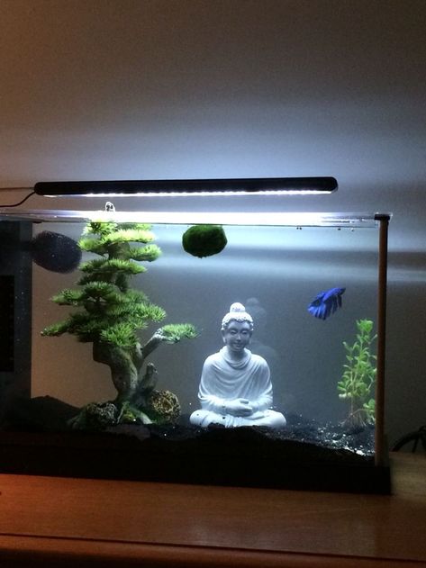 Animal Therapy, Fish Tank Themes, Amazing Aquariums, Fish Tank Terrarium, Cool Fish Tanks, Fish Tank Design, Betta Aquarium, Aquarium Terrarium, Diy Aquarium