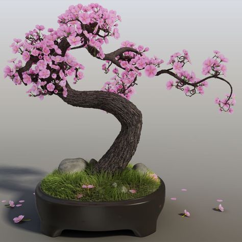 Sakura Bonsai, Cherry Blossom Bonsai, Cherry Bonsai, Cherry Blossom Bonsai Tree, Bonsai Tree Tattoos, Flowering Bonsai Tree, Blossom House, Bonsai Pruning, Bonsai Techniques