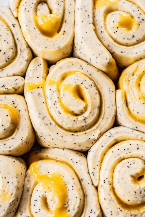 Sweet Lemon Poppy Seed Rolls #yeast #lemon #poppyseed #roll #lemoncurd #baking #creamcheese #breakfast #breakfastrecipe | Baking with Butter Poppyseed Roll, Poppy Seed Rolls, Filled Buns, Lemon Poppyseed Bread, Lemon Cream Cheese Frosting, Lemon Cream Cheese, Lemon Poppy Seed, Lemon Poppy, Sweet Lemon