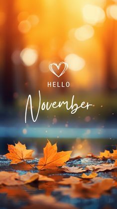 1 November 2024, Hello November Wallpaper Iphone, Hello November Images, Fall Season Wallpapers, Wallpapers For November, Hello November Wallpaper, November Phone Wallpaper, November New Month, November Wallpaper Iphone