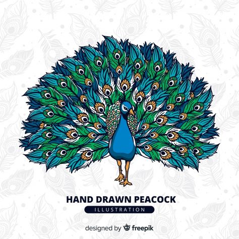 Beautiful peacock in hand drawn style Free Vector |  #Freepik #freevector #hand #bird #animal #hand-drawn How To Make Canvas, Peacock Drawing, Peacock Tattoo, Design Art Nouveau, Peacock Pictures, Peacock Wall Art, Peacock Painting, Beautiful Peacock, Peacock Art