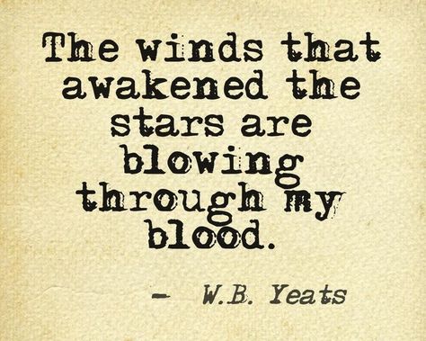 Wind Quotes, Yeats Poems, W B Yeats, Magic Words, Literary Quotes, Favorite Words, Poetry Quotes, Pretty Words, How Beautiful