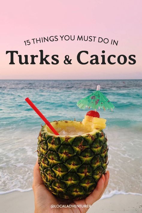 15 Best Things to Do in Turks and Caicos Turks And Caicos Family Vacation, Turks And Caicos Excursions, Club Med Turks And Caicos, What To Do In Turks And Caicos, Turks And Caicos Food, Turks And Caicos Itinerary, Providenciales Turks And Caicos, Things To Do In Turks And Caicos, Grace Bay Turks And Caicos