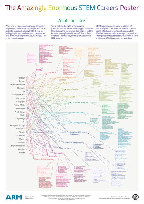 College Hacks, Stem Careers, Different Careers, Math Stem, Career Exploration, Career Counseling, Stem Science, Online College, Education College