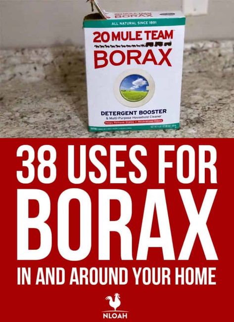 Uses For Borax, Borax Uses, Borax Cleaning, Borax Powder, Carpet Deodorizer, Deep Cleaning Hacks, Bedroom Organization, Jewelry Tips, Household Cleaner