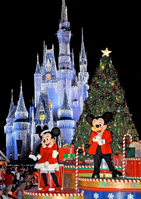 Disney World At Christmas, Disney Castles, Disney Icon, Disney Parade, Disneyland Christmas, Disney World Christmas, Disney Wallpapers, Very Merry Christmas Party, Disney Paris