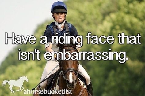 Equestrian Tattoo, Funny Bucket List, Horses Funny, Lifetime Bucket List, Horse Girl Problems, Horse Meme, Horse Jokes, Completed Bucket List, Equestrian Quotes