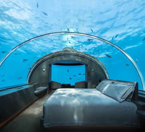 Dubai Underwater Hotel, Underwater Hotel Room, Underwater Bedroom, جزر المالديف, Conrad Maldives, Underwater Room, Underwater Hotel, Underwater Restaurant, Unusual Hotels