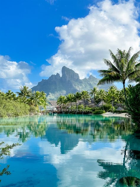 Great Stays | Four Seasons Bora Bora Bora Bora Four Seasons, Bora Bora Aesthetic, Four Seasons Bora Bora, Air Tahiti, Bora Bora French Polynesia, Hi Sugarplum, Honey Moon, Island Destinations, Pretty Landscapes