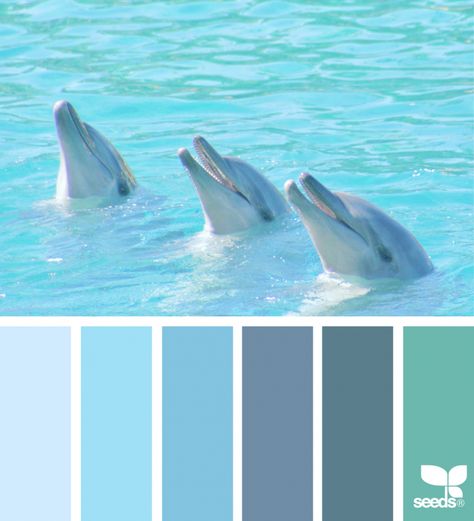 Color Creature Design Seeds Color Palette, Seeds Color Palette, Coastal Paint Colors, Seeds Color, Color Sheets, Color Palette Challenge, Coastal Colors, Color Chip, Color Palate