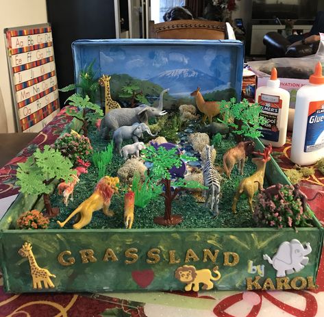 Proyect Ximena Grassland Diorama, Savannah Habitat, Ecosystems Diorama, Ecosystem Project, Grassland Biome, Biomes Project, Rainforest Project, Diorama Kids, Ecosystems Projects