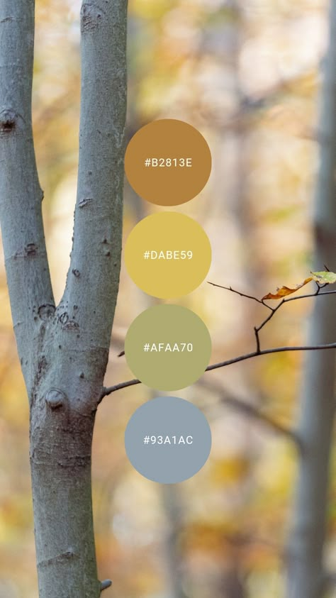 Gentle fall tints to bring in the season with a little less intensity. Try it in the kitchen, bathroom, home office, or guest room. #colourpalette #colorpalette #autumn #fall #pastel #light Photoshop Rendering, Hex Color Palette, Color Fields, House Color Schemes, Nature Color Palette, Color Lab, Brand Color Palette, Bedroom Color Schemes, Color Palette Design