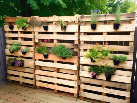 Pallet Privacy Wall, Garden With Pallets, Pallet Garden Ideas Diy, Pallet Garden Ideas, Pallet Garden Walls, Garden Ideas Diy, Vertical Pallet Garden, Diy Privacy Screen, Privacy Wall