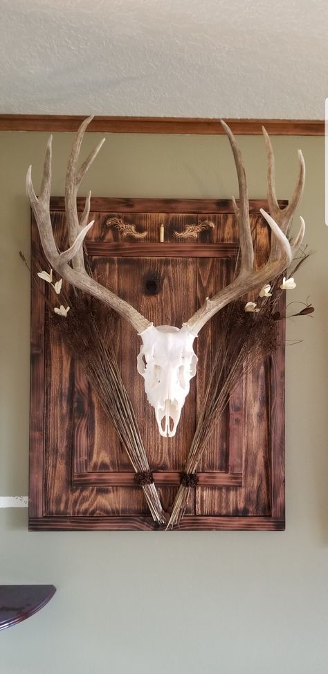 Deer Mount Bedroom, Deer Mount Backboard, European Deer Mount Ideas Display, European Deer Skull Mount Ideas, Euro Mount Ideas, European Mount Plaque Ideas, European Deer Mount Ideas, European Skull Mount Ideas, Antler Mount Ideas