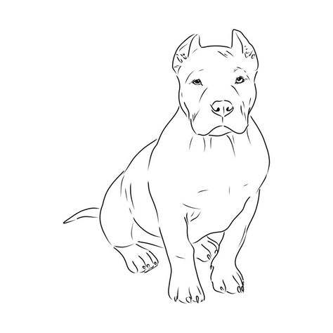 How To Draw A Staffy Dog, Pitbulls Drawing, American Bully Drawing, Pitbull Dog Drawing, Pitbull Art Drawing, Pit Bull Tattoo Ideas, Pitbull Sketch, Pit Bull Tattoo, Pit Bull Drawing