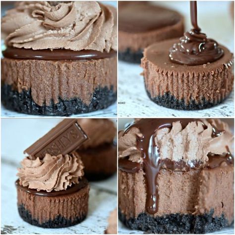 Cheesecake Ideas, Mini Cheesecake Recipes, Cheesecake Mini, Cheesecake Cupcakes, Chocolate Cheese, Chocolate Chocolate, Mini Cheesecakes, Chocolate Cheesecake, Savoury Cake