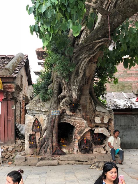 Tree temple | Kathmandu Durbar square Monte Everest, Durbar Square, Nepal Travel, Vernacular Architecture, Environment Design, South Asia, Environment Concept Art, Fantasy Landscape, Abandoned Places