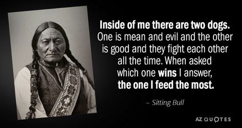 Sitting Bull quote: Inside of me there are two dogs. One is mean... Sitting Bull Quotes, Bull Quotes, Native American Prayers, Rare Quote, Sitting Bull, Native American Wisdom, Native American Quotes, German Quotes, 25th Quotes