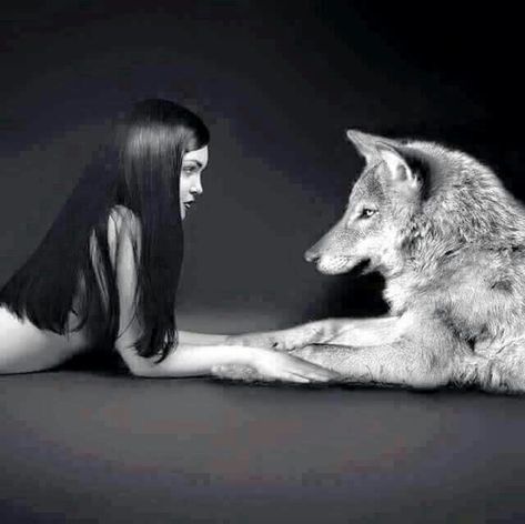 Wolves And Women, Dog Photoshoot, Wolf Wallpaper, She Wolf, Wolf Love, Wolf Pictures, Wolf Spirit, Beautiful Wolves, Big Bad Wolf