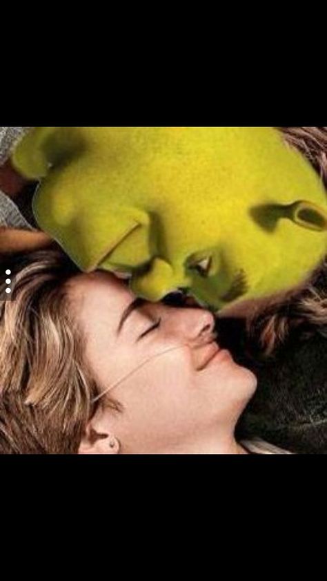 Shrek Is Love Shrek Is Life, Shrek Kissing, Shrek Love, Hot Shrek, Meme Shrek, Shrek Aesthetic, Shrek Memes, Funny Profile, Funny Profile Pictures