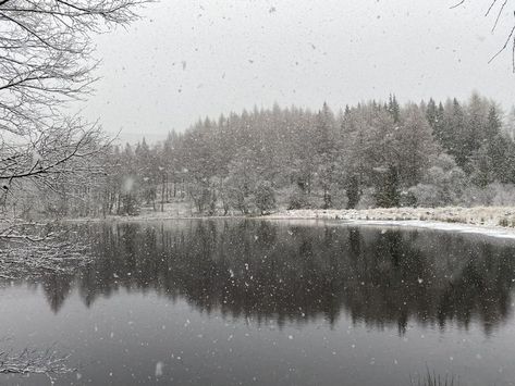 Forest Aesthetic Background, Winter Forest Background, Forest With Snow, Snowy Lake, Aesthetic Background Wallpaper, Winter Landscape Photography, Snow Background, Snow Lake, Winter Backdrops