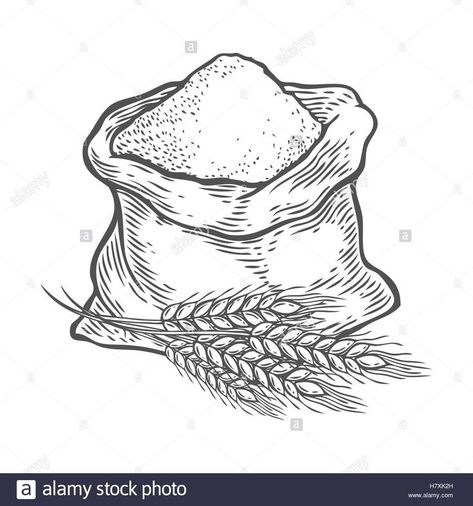 Sack with whole flour or sugar with ear wheat. Hand drawn sketch Stock Vector Art & Illustration, Vector Imag… | Wheat drawing, Engraving illustration, Illustration Wheat Drawing, Engraving Illustration, Vector Art Illustration, Illustration Vector, Artsy Fartsy, Art Illustration, Cute Wallpapers, Wheat, Vector Art