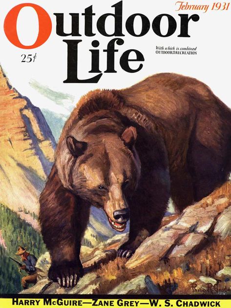 Outdoor Life Magazine, Outdoor Magazine, Bear Fishing, Life Magazine Covers, Bear Artwork, Bear Hunting, Hunting Art, Black Bears, Life Cover