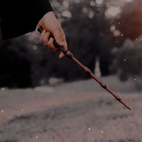 James Sirius Potter, Gryffindor Aesthetic, Hp Aesthetic, Ravenclaw Aesthetic, Harry Potter Oc, Hogwarts Aesthetic, Harry Potter Wand, Hogwarts Is My Home, Slytherin Aesthetic