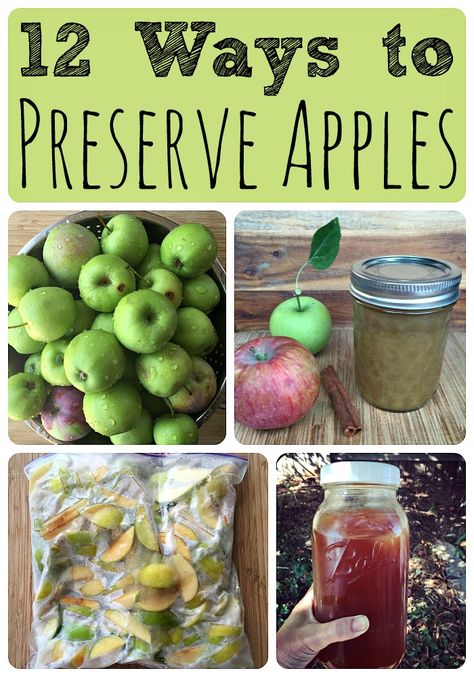 When it's apple season we often find ourselves overloaded with fruit! Here are 12 ways to preserve apples, so that you can enjoy them year round. #apples #fall #canning #preserving #foodstorage #homesteading Apples Canning, Preserve Apples, Food Saver Hacks, Preserving Apples, Canning Apple Pie Filling, Storing Food Long Term, Canning Apples, Preserving Vegetables, Low Acid Recipes