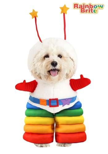 Sprite Costume, Rainbow Brite Costume, Pet Costumes For Dogs, Troll Costume, Batman Costumes, Addams Family Costumes, Villain Costumes, Zombie Costume