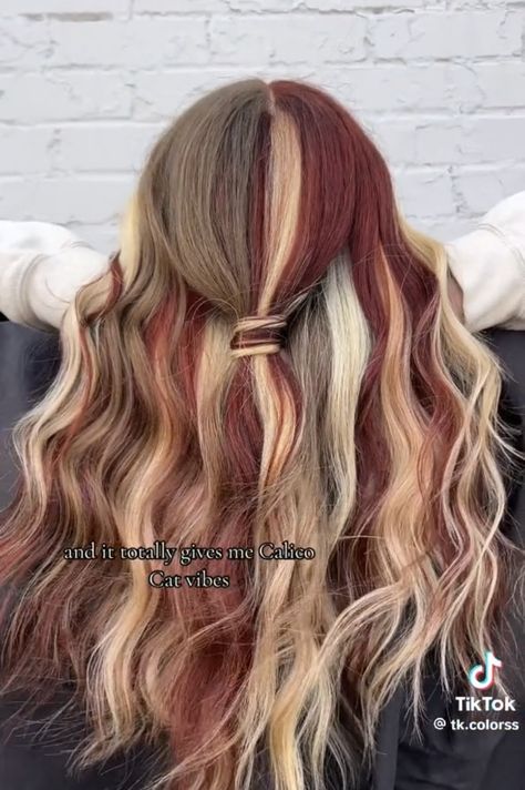 Fall Hair Dye Ideas For Blondes, 3 Colour Hair Dye, Patchwork Hair Color, Cool Hair Color Combos, Blonde And Brunette Hair Color Ideas, How To Dye Streaks In Your Hair, Interesting Hair Color Ideas, Copper And Gold Hair, Two Colour Hair Color Combos