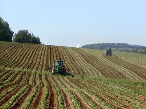 Agricultural Hardship Country Music, New Age, Aroostook County, Crop Production, Farm Equipment, John Deere, Agriculture, Tractor, Animals Wild