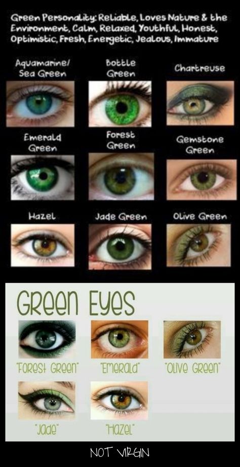 Shades Of Green Eyes, Emerald Green Eyes, Collar Verde, Eye Facts, Beautiful Eyes Color, Color Eyes, Eyes Color, Eye Chart, Doe Eyes