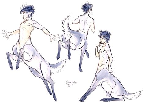 Centaur mythical male reference Anime Centaur, Deer Art, Concept Art Drawing, Mythical Creatures Art, Fantasy Concept Art, Mystical Creatures, Creature Concept, Magical Creatures, Drawing Base