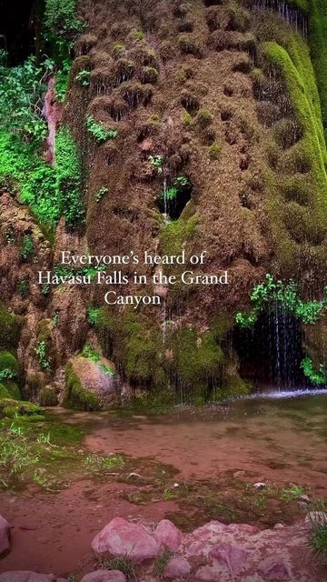 Visit The USA | Travel+Nature on Instagram: "MUST SAVE for your next Grand Canyon trip! Although Havasu Falls is arguably one of the most gorgeous falls here, there is another one you may not have heard of! 📸@bianca_velardi Tucked away off of the North Kabib Trail is a place called Ribbon Falls. This is a long and hard hike but 100% worth it. Round trip it is 16.8 miles with over 5K ft. of elevation gain. Or if you want to make it even longer like I did, you can make it a stop along the way w Bucket List Usa, Grand Canyon Trip, Trip To Grand Canyon, Hiking Places, Havasu Falls, Relaxing Travel, Fun Places To Go, Arizona Travel, Travel Locations