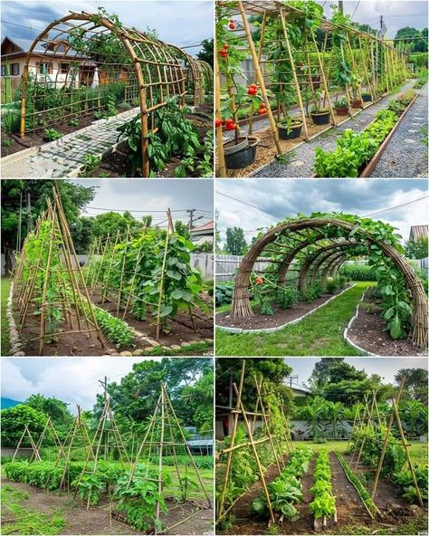 Cucumber Trellis Ideas, Pallet Trellis, Teepee Trellis, Garden Planning Layout, Grape Trellis, Cucumber Trellis, Trellis Ideas, Patio Pergola, Backyard Vegetable Gardens